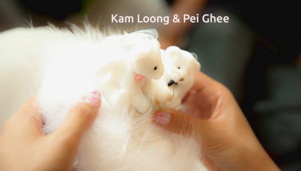 Kam Loong + Pei Ghee • Penang Kedah // SDE+Highlights